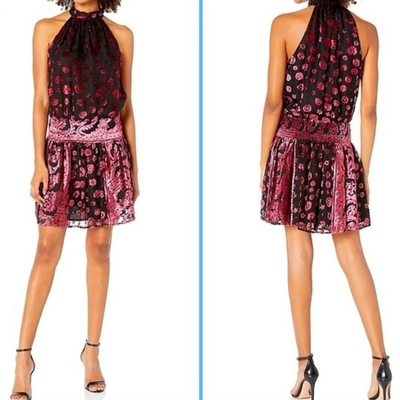 Ramy Brook Velvet Floral Naima Black and Burgundy Mini Dress - Picture 1 of 7